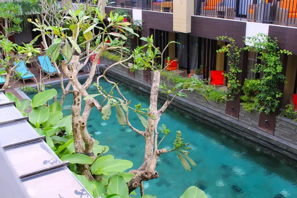 100 Sunset Hotel - photo 11