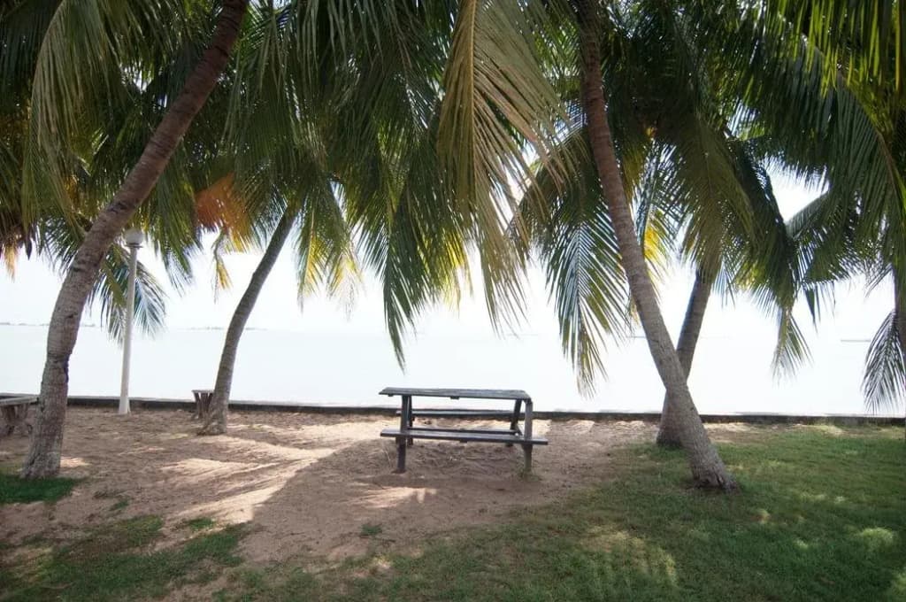 Shah's Beach Resort - photo 20