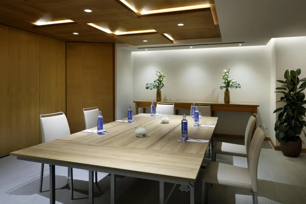 Hyatt Regency Hesperia Madrid - photo 37