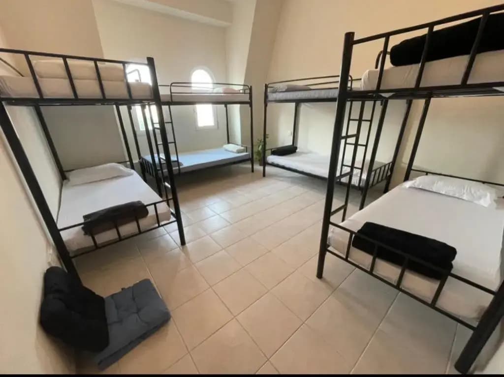 Expo Backpackers - main photo