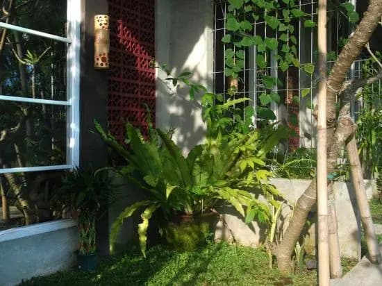 Secret Garden Ubud - main photo