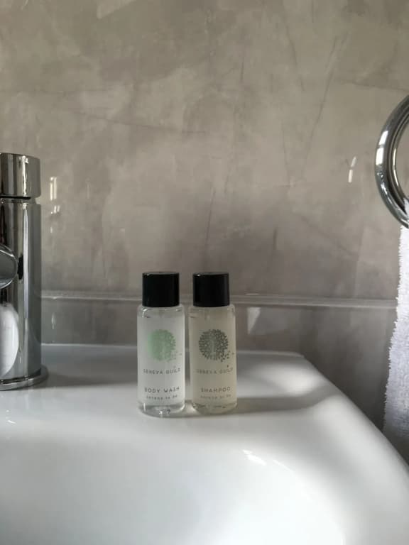 Rosalee Hotel - photo 7
