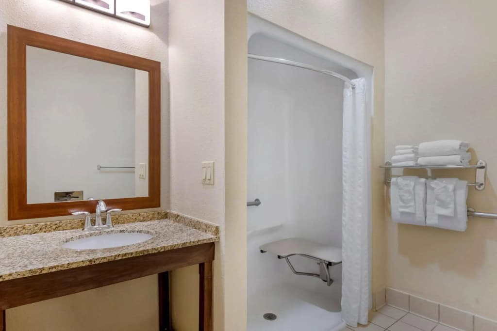 Comfort Suites Near Universal Orlando Resort - photo 10