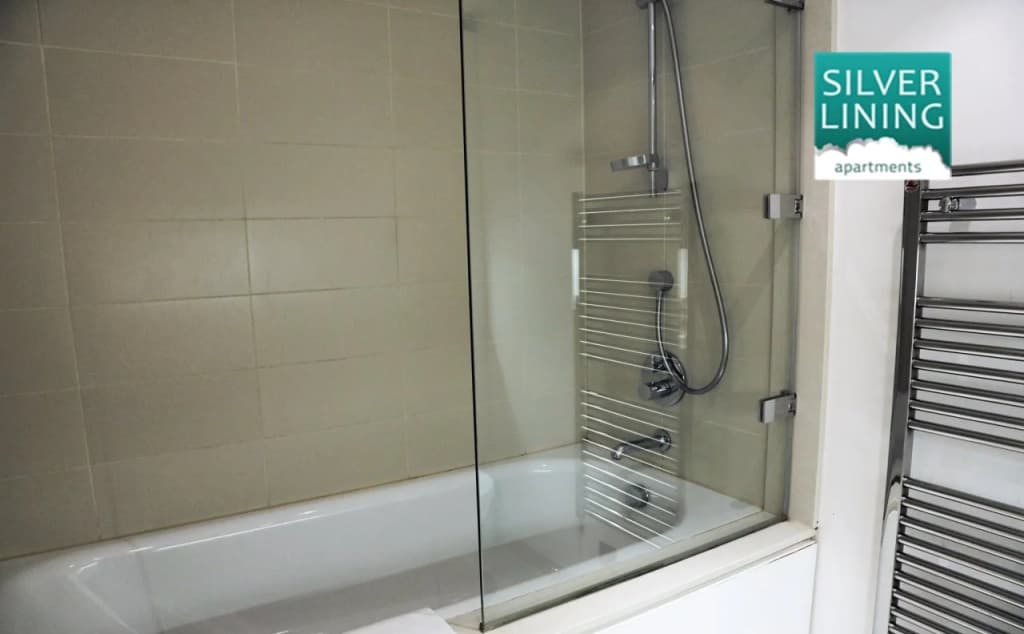Silver Lining - Mile Apartments - photo 7