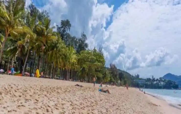 Malinee Resort - photo 14