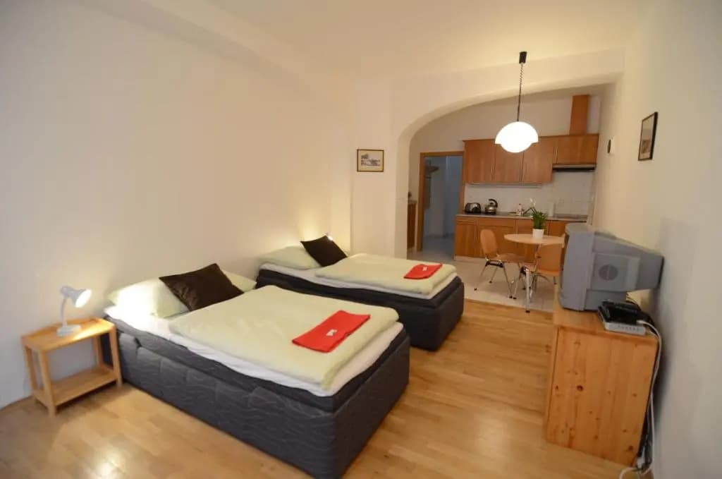 Apartments Karlin - photo 17