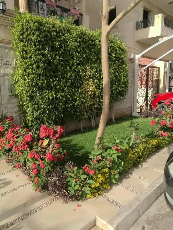 New Cairo Villa - photo 15