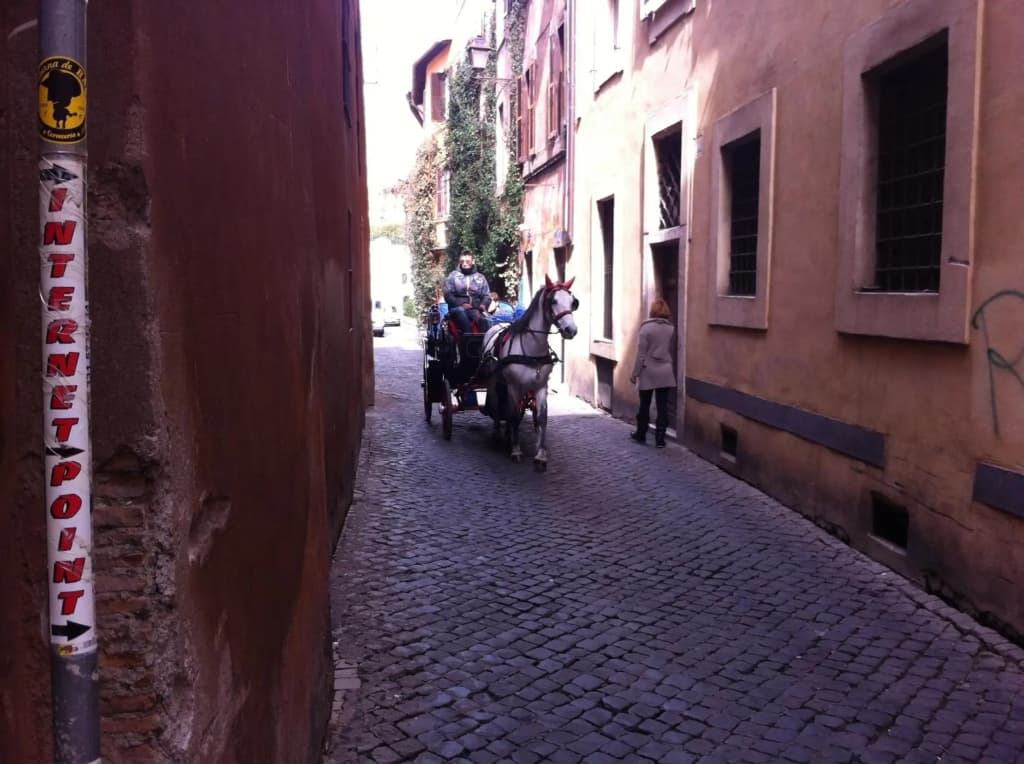 Guest House Navona 2 - photo 10