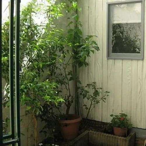 Vacation Rental Saint Jacques - photo 6