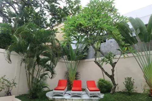 Villa Coconut Bali - photo 4