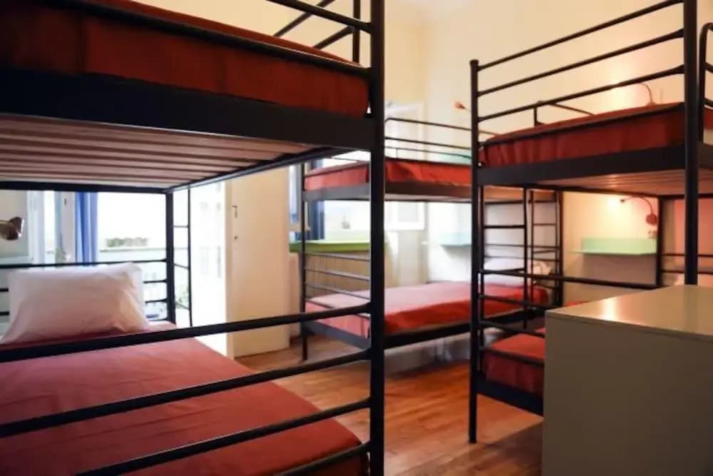 Chameleon Youth Hostel - Hostel - photo 3