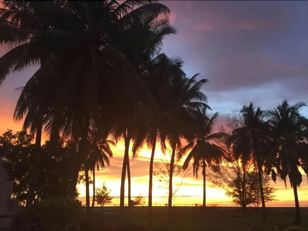 Raintree Beach & Golf Resort - photo 14