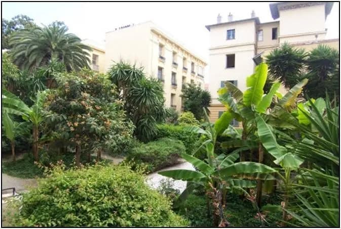 Views of the Tropical Garden - photo 8