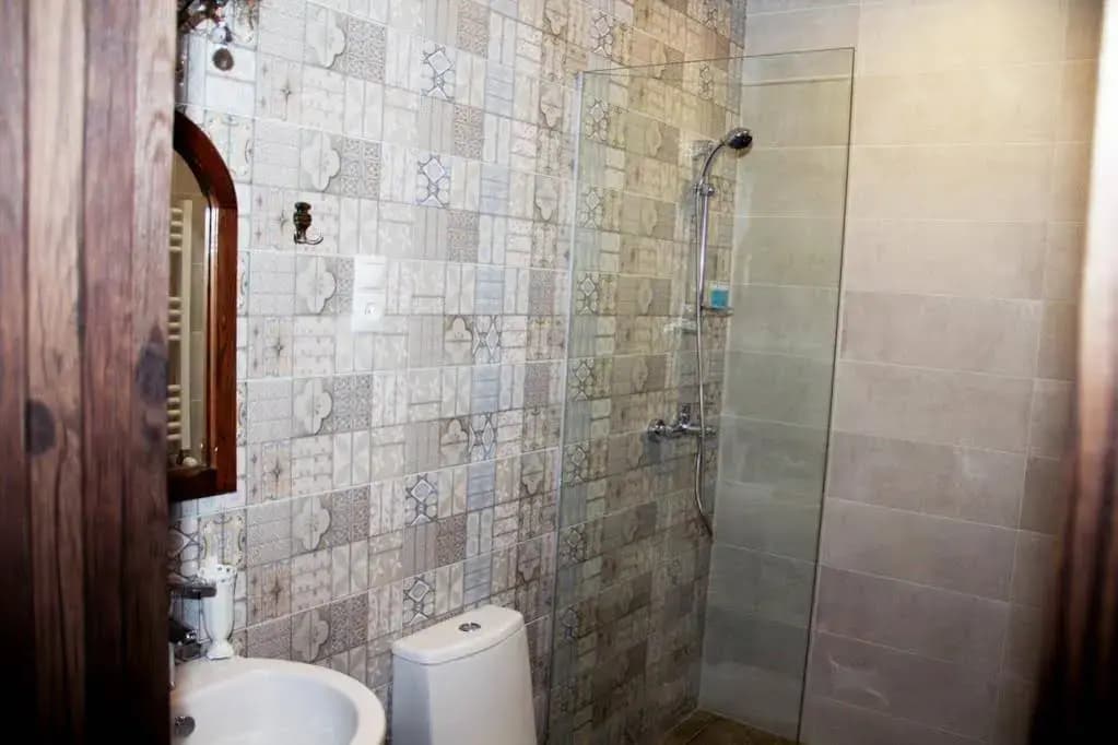 Hotel Delisi - photo 10