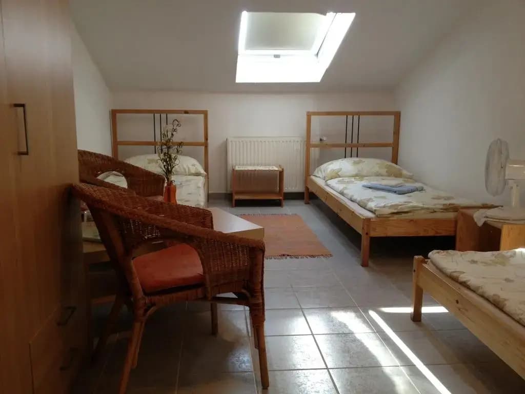 Hotel Timon - photo 5