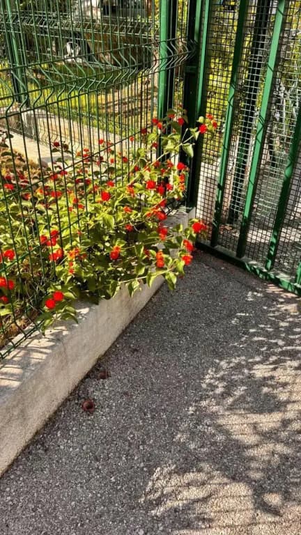 Le Val D'Azur - photo 12