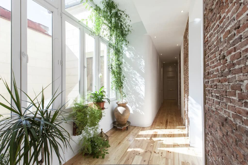 Rusticae Matute11 Suites - photo 19