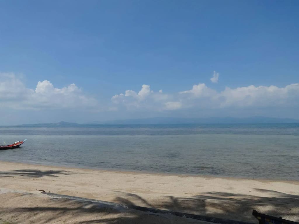 Bird Bungalow - photo 9