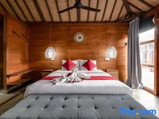 Turtle Villas Canggu - photo 20