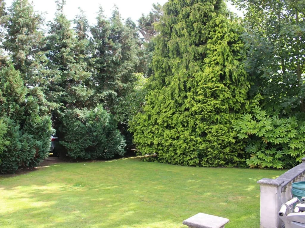 Willow Guest House - photo 7