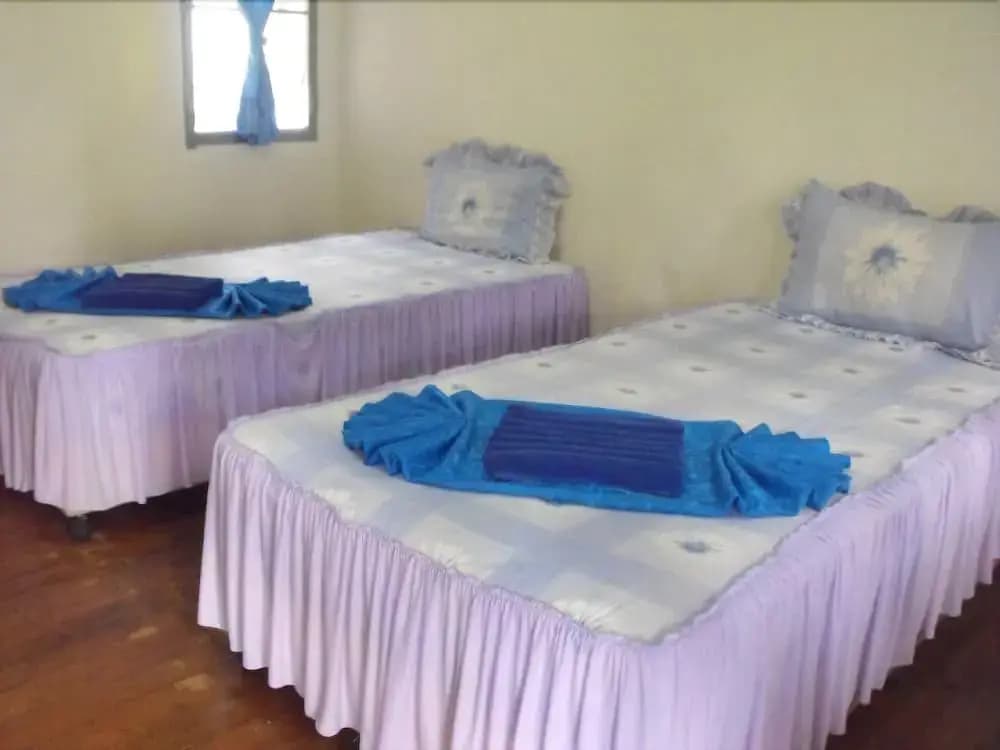 Adam Bungalows - photo 2
