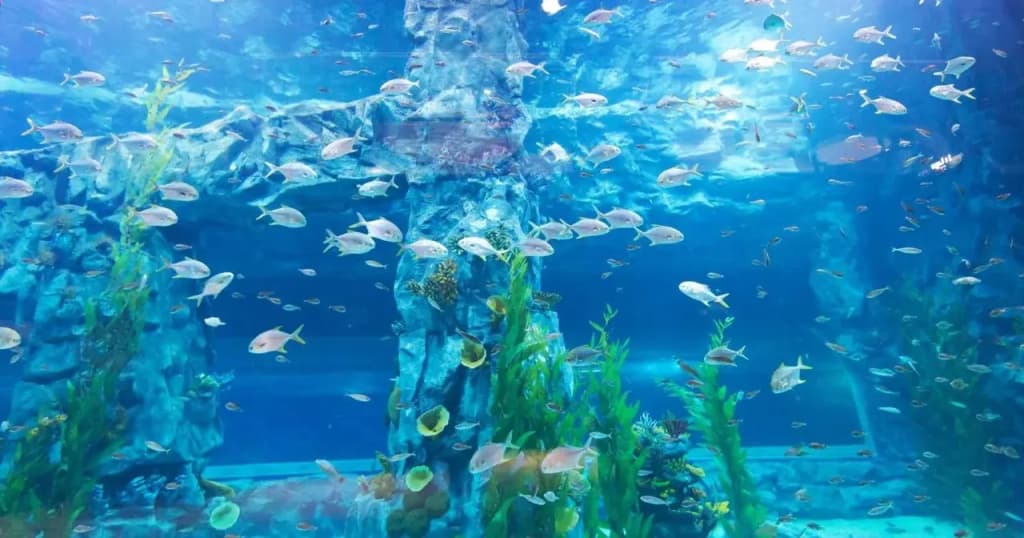 Lotte Hotel World - photo 32