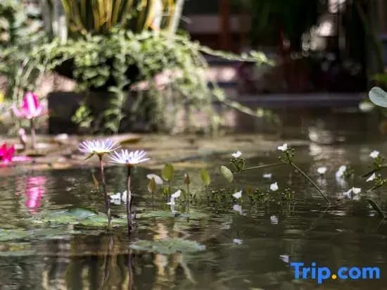 Hidden Padma Retreat - photo 30