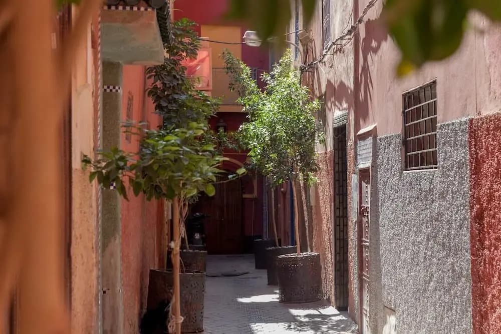 Riad Soleil - photo 1