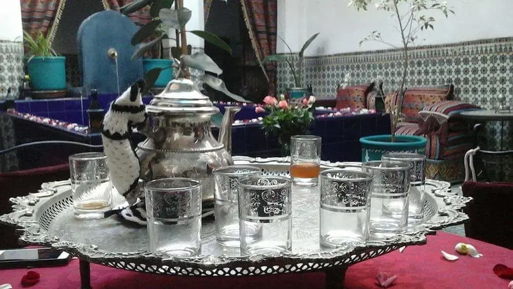 Riad Tiziri - photo 25