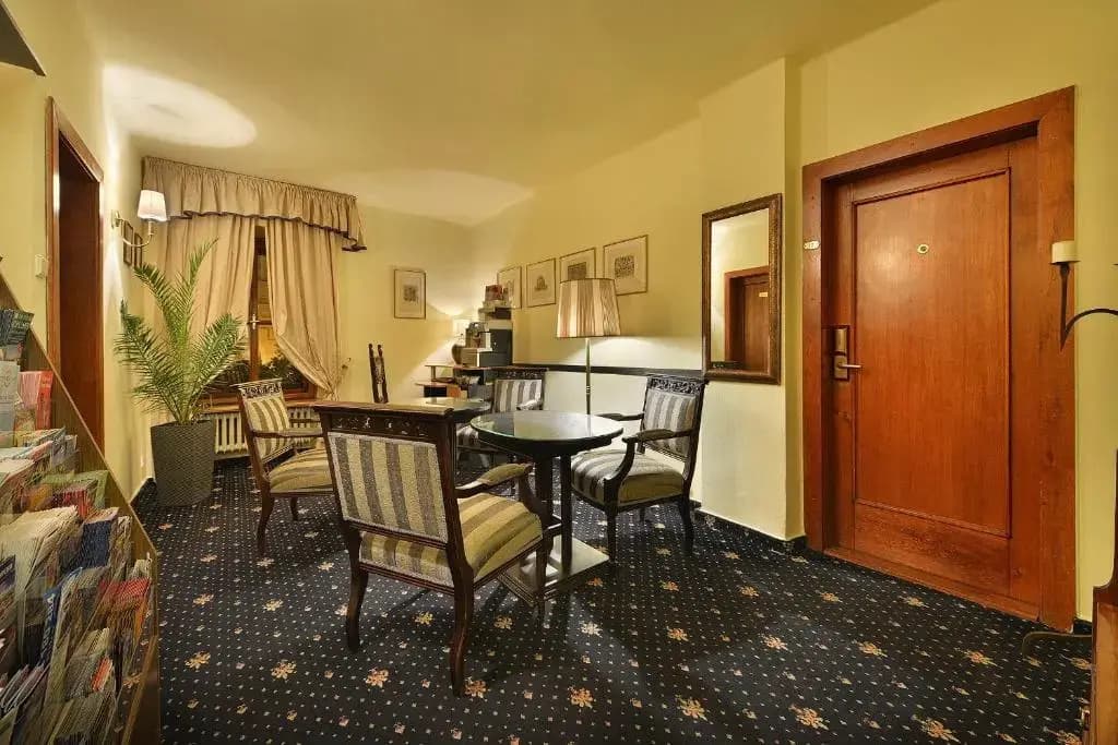 Hotel U Tri Pstrosu - photo 10