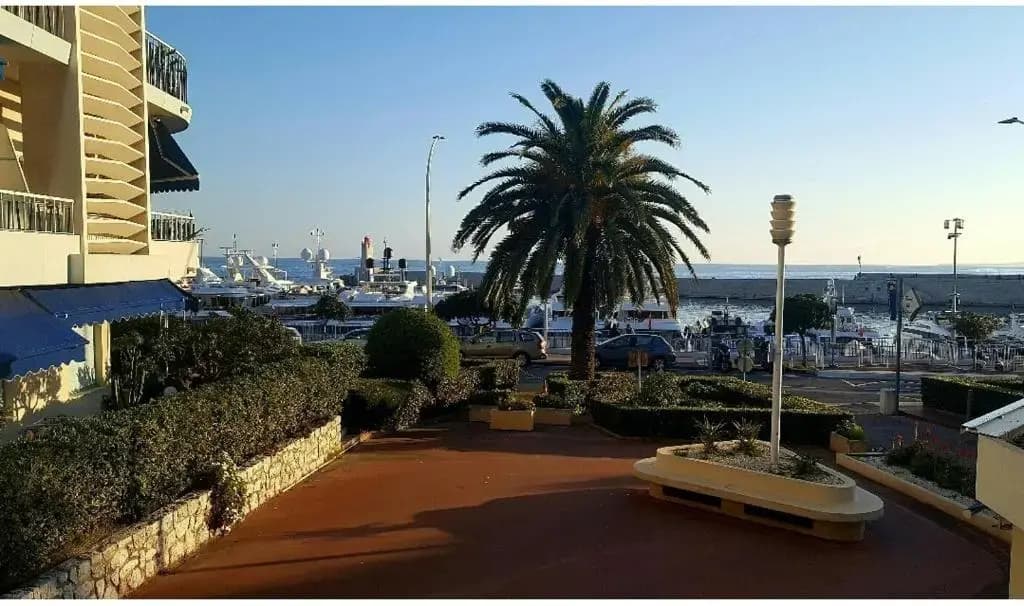 Charmant Studio en bord de Mer - photo 11