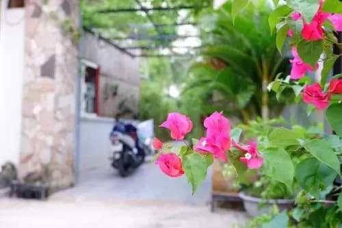 Phu Quoc Bon Bon Bungalow - photo 16