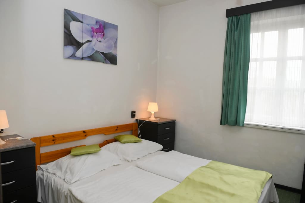 Budai Hotel - photo 4