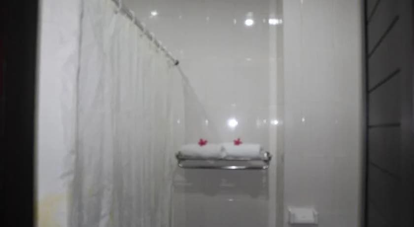 Puri Nusantara Hotel - photo 8
