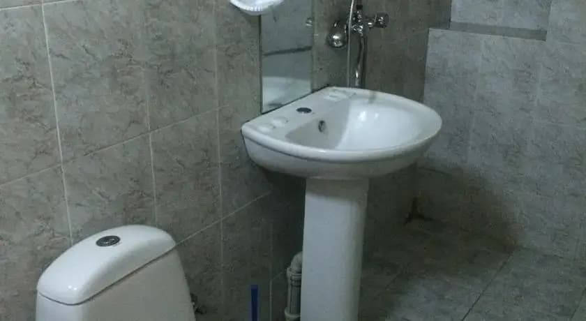Merlin Guesthouse - photo 6