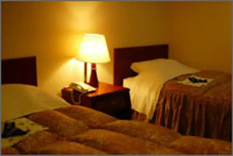Hotel New Gyominso - photo 6