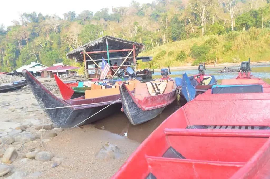 Belebar Studio Room Taman Negara Pahang Malaysia - photo 10