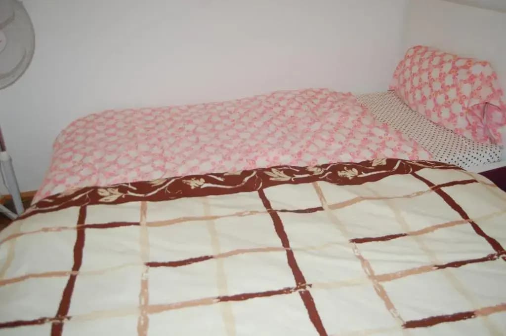 Rainbow Property - photo 1