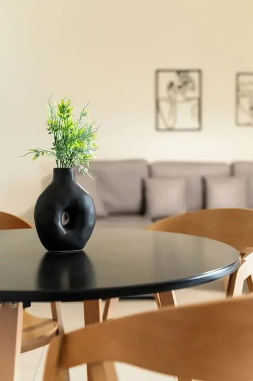 Elysee apartment 1 - photo 6