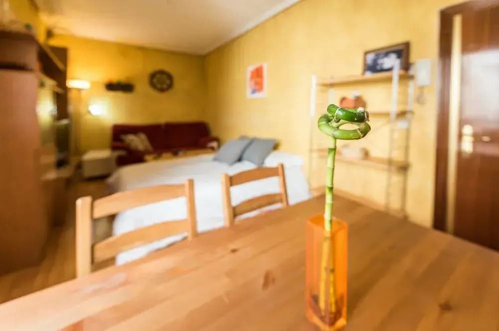 Apartamento Amparo 2 - photo 9