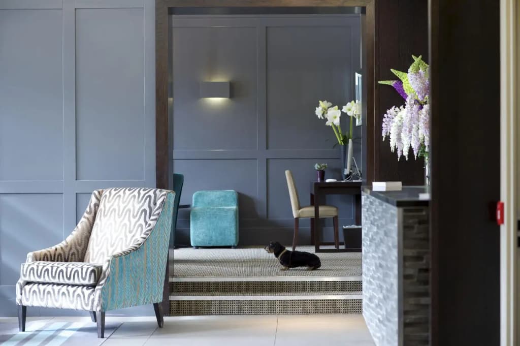 The Lodge Hotel - Putney - photo 29