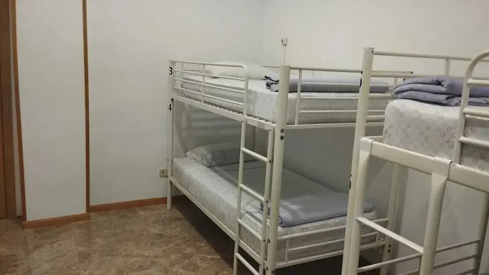 Hostel Travelers Inn - photo 5