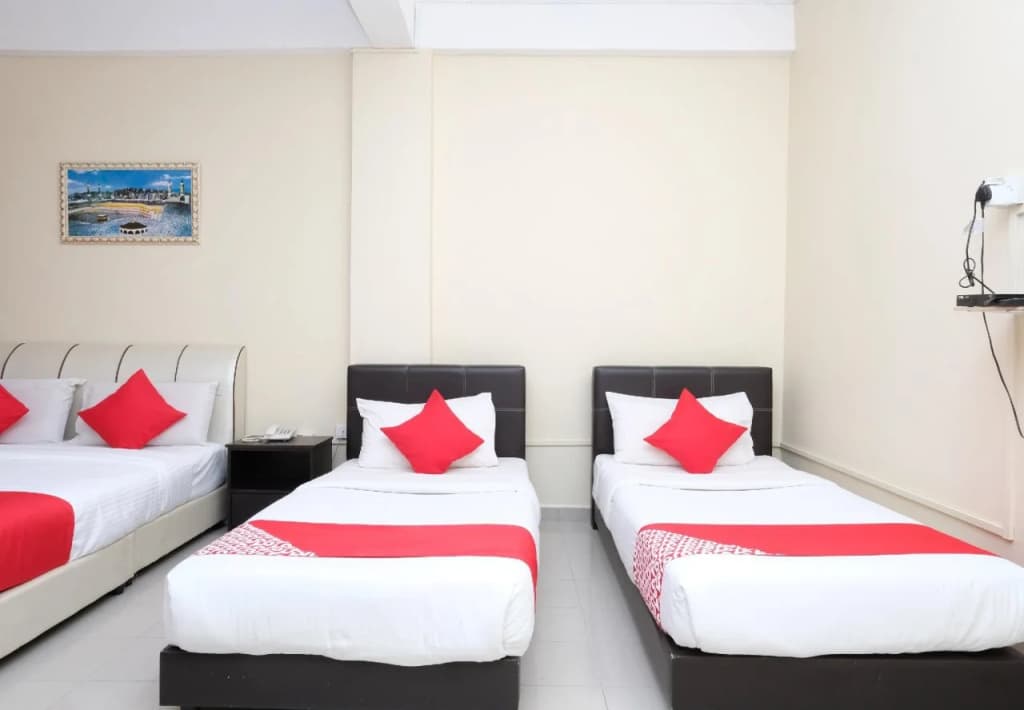 Hanis Villa Hotel - photo 4