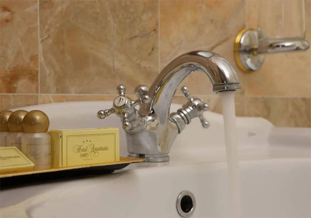 Hotel Anastasia - photo 7