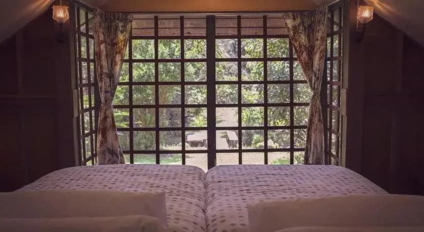 Ruang Tawan Hideaway - photo 33