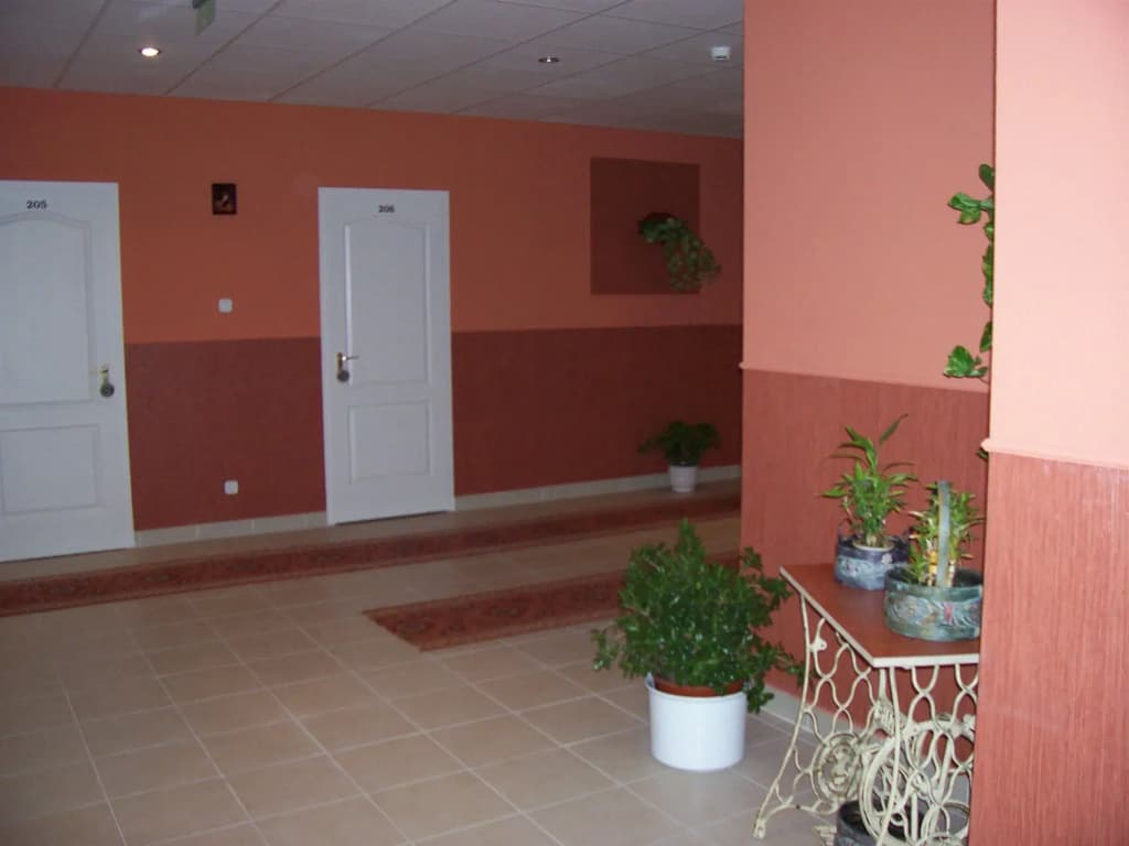 Hotel Timon - photo 11