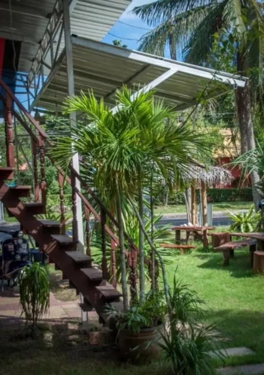 The Lazy Bar And Guesthouse - photo 33