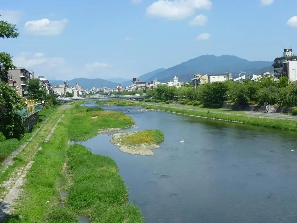 Kyoto Rich Hotel - photo 20