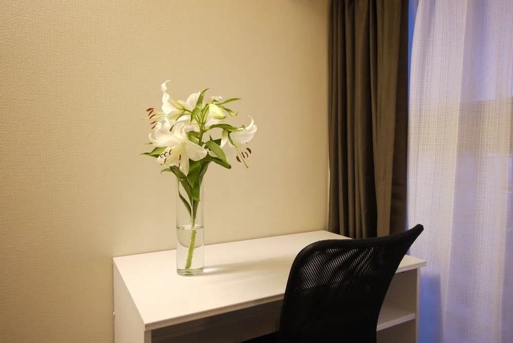 Namba Suite Room - photo 5