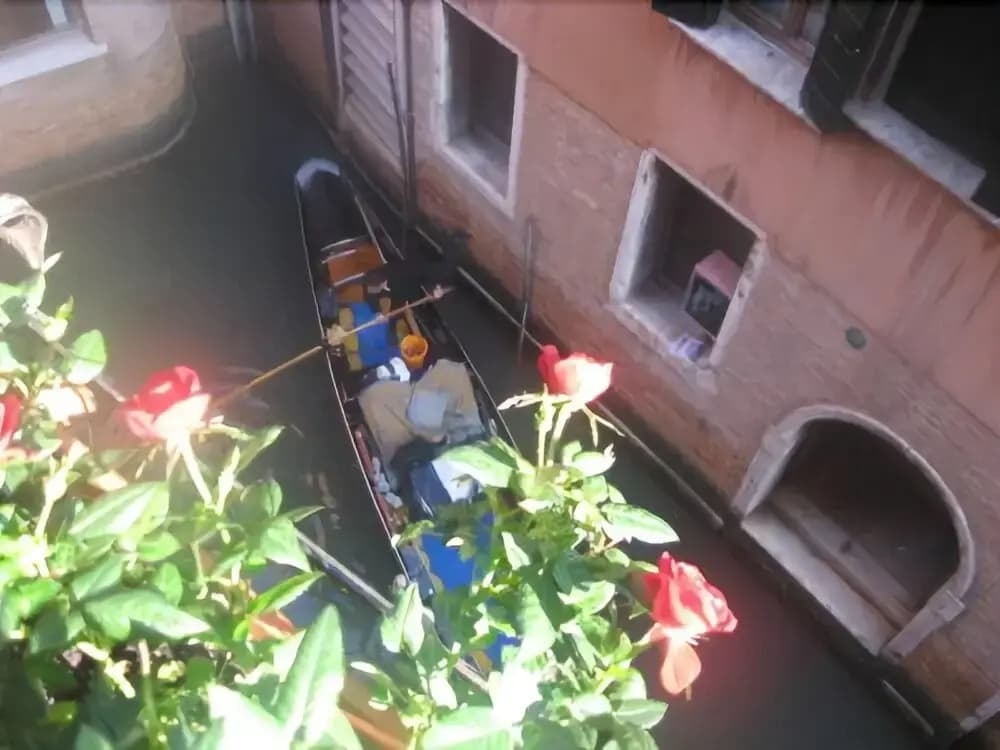 Sunny Venice Apartment - photo 27